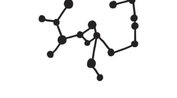 برج القوس الاثنين 17 نوفمبر 2025: فرص جديدة تؤثر على قراراتك المهنية والشخصية